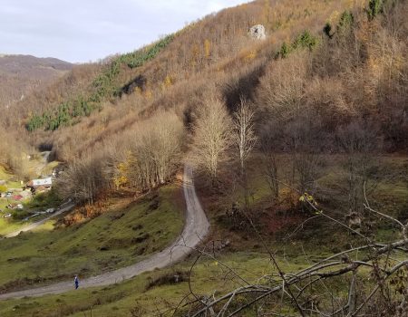 Alergare montana in Padurea Craiului valea iadului traseu galben featured