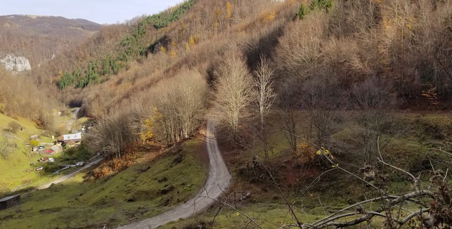 Alergare montana in Padurea Craiului valea iadului traseu galben featured