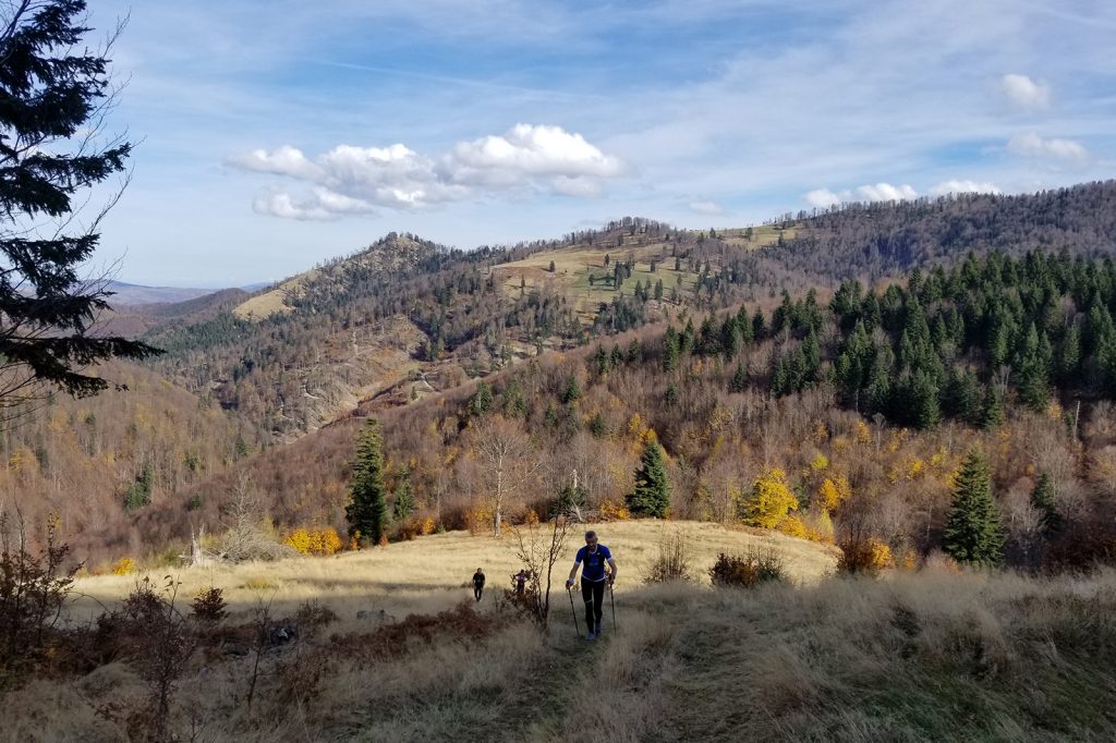 Alergare montana in Padurea Craiului valea iadului traseu rosu featured