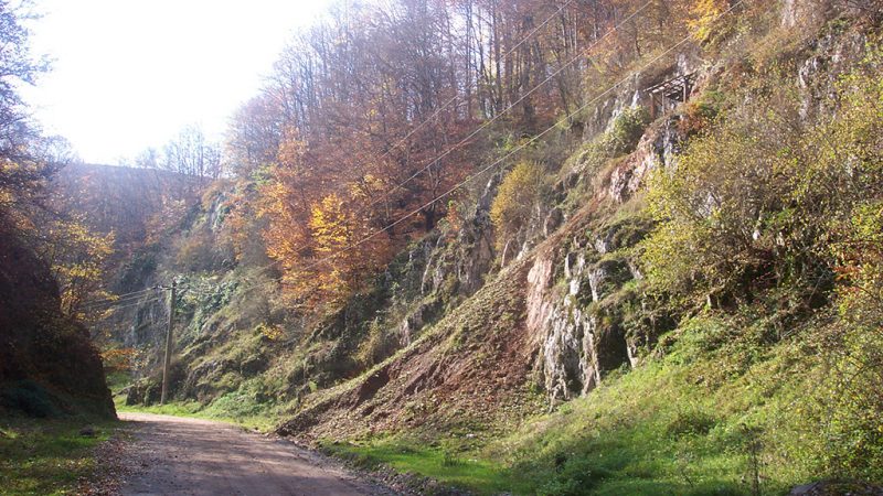 Padurea Craiului Valea Rosia Cheile Albioarei