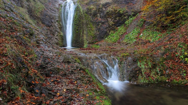Padurea craiului valea boiului cascada cailor valea crisului repede